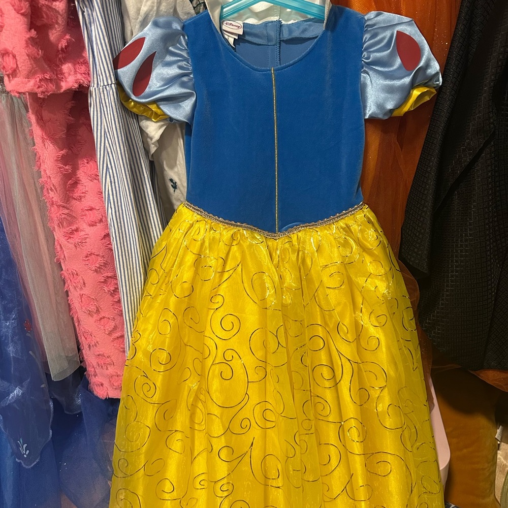 Disney Royal Blue and Yellow Costume